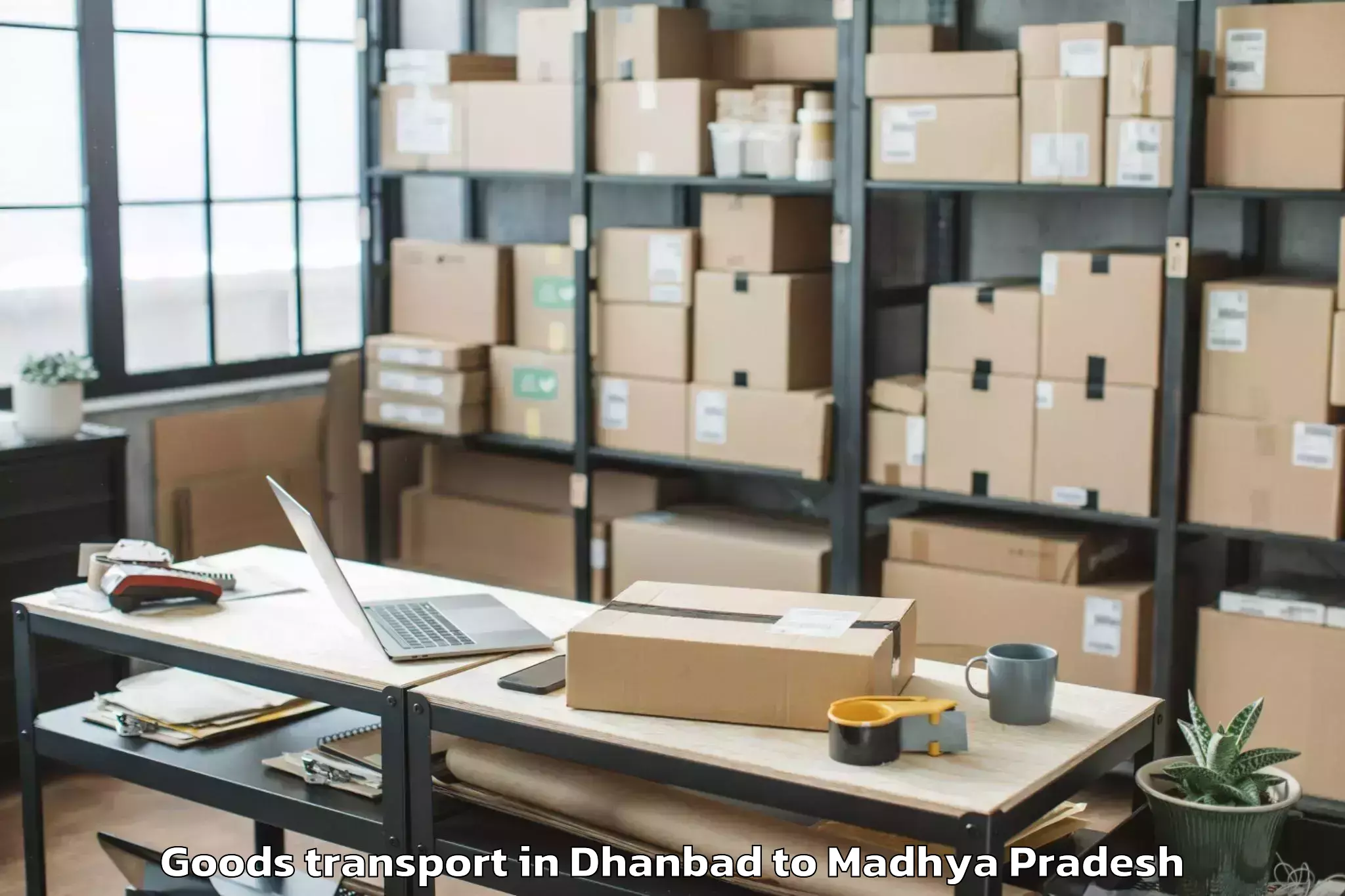 Expert Dhanbad to Bijawar Goods Transport